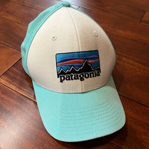 Patagonia Lopro trucker logo